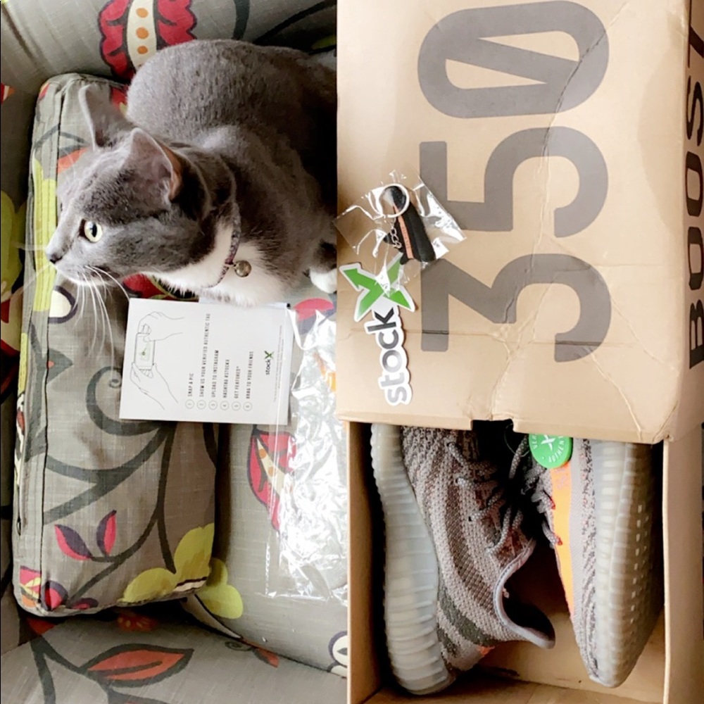 Yeezy Boost 350 V2 Beluga Size 8.5 US